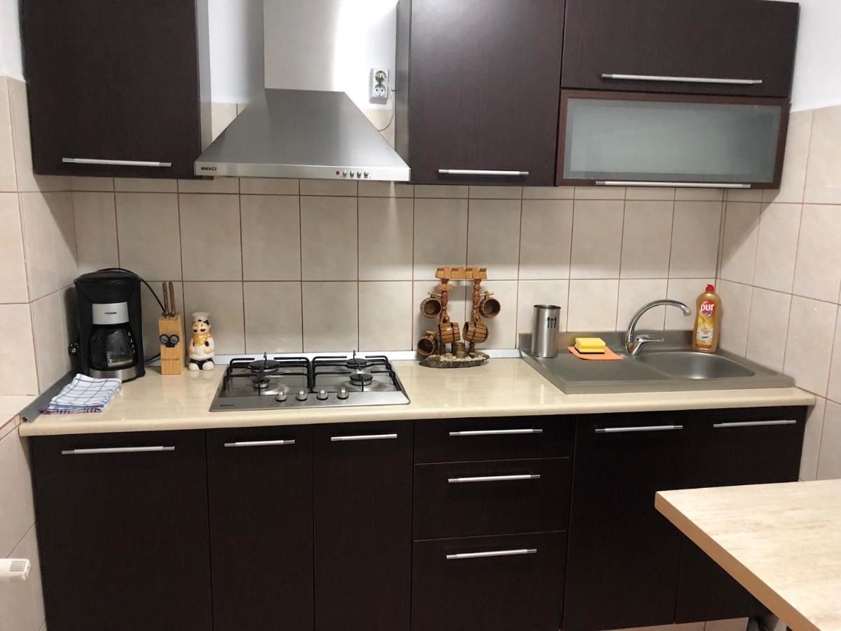 Гостевой дом Casa Mina Буштени-19